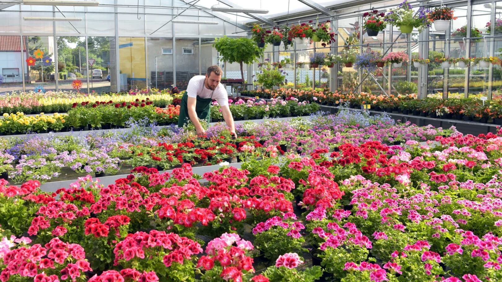 Farm Fresh Fun & Greenhouse Magic